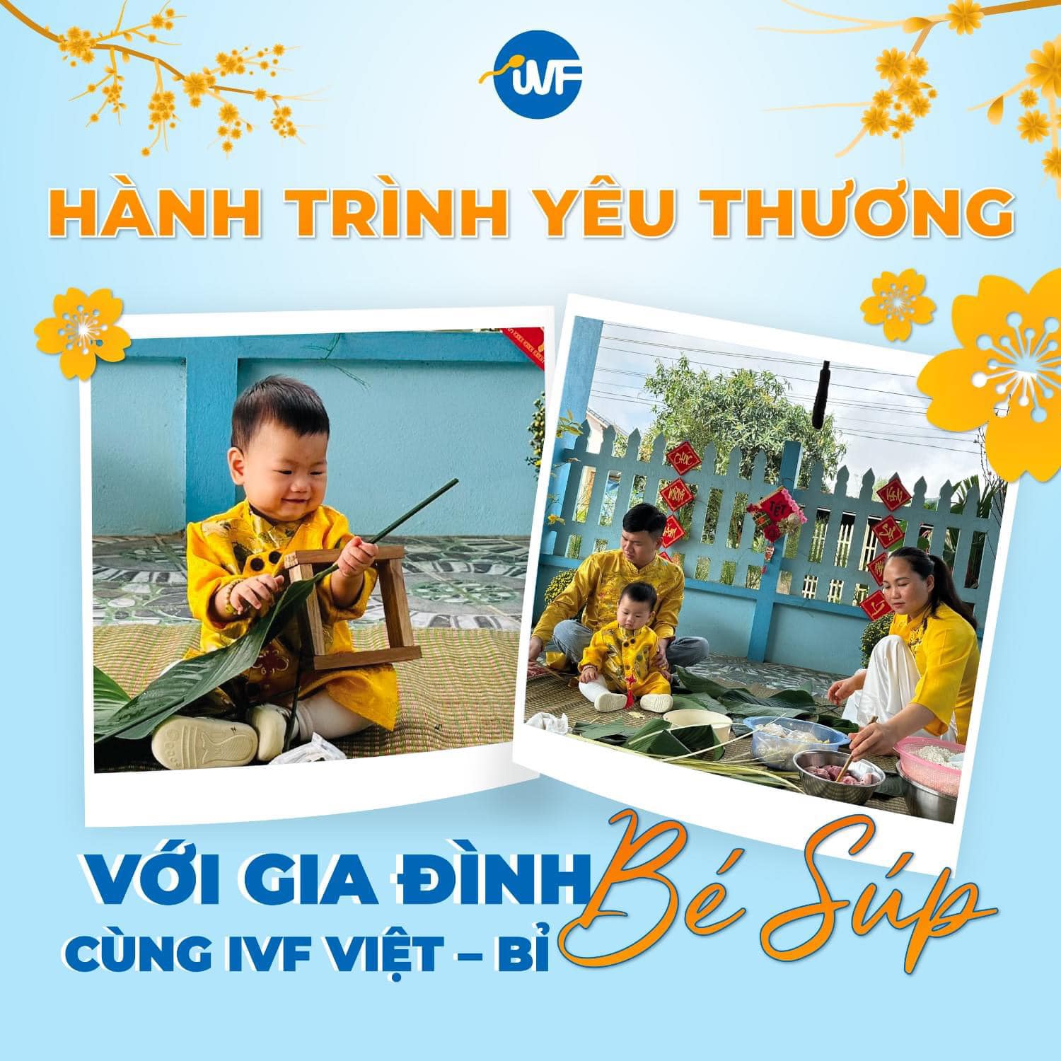 CHÀO TUẦN MỚI VỚI GIA ĐÌNH BÉ SÚP TỪ IVF VIỆT – BỈ