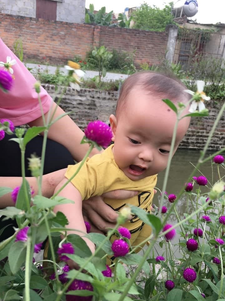 CHÚC MỪNG NGÀY GIA ĐÌNH VIỆT NAM