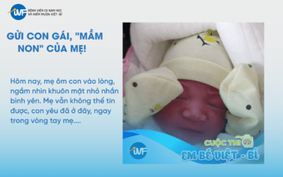 BÀI DỰ THI EM BÉ VIỆT – BỈ LẦN THỨ 6: HÀNH TRÌNH 8 NĂM TÌM CON – VÀ CÁI KẾT ĐẸP HƠN CẢ GIẤC MƠ