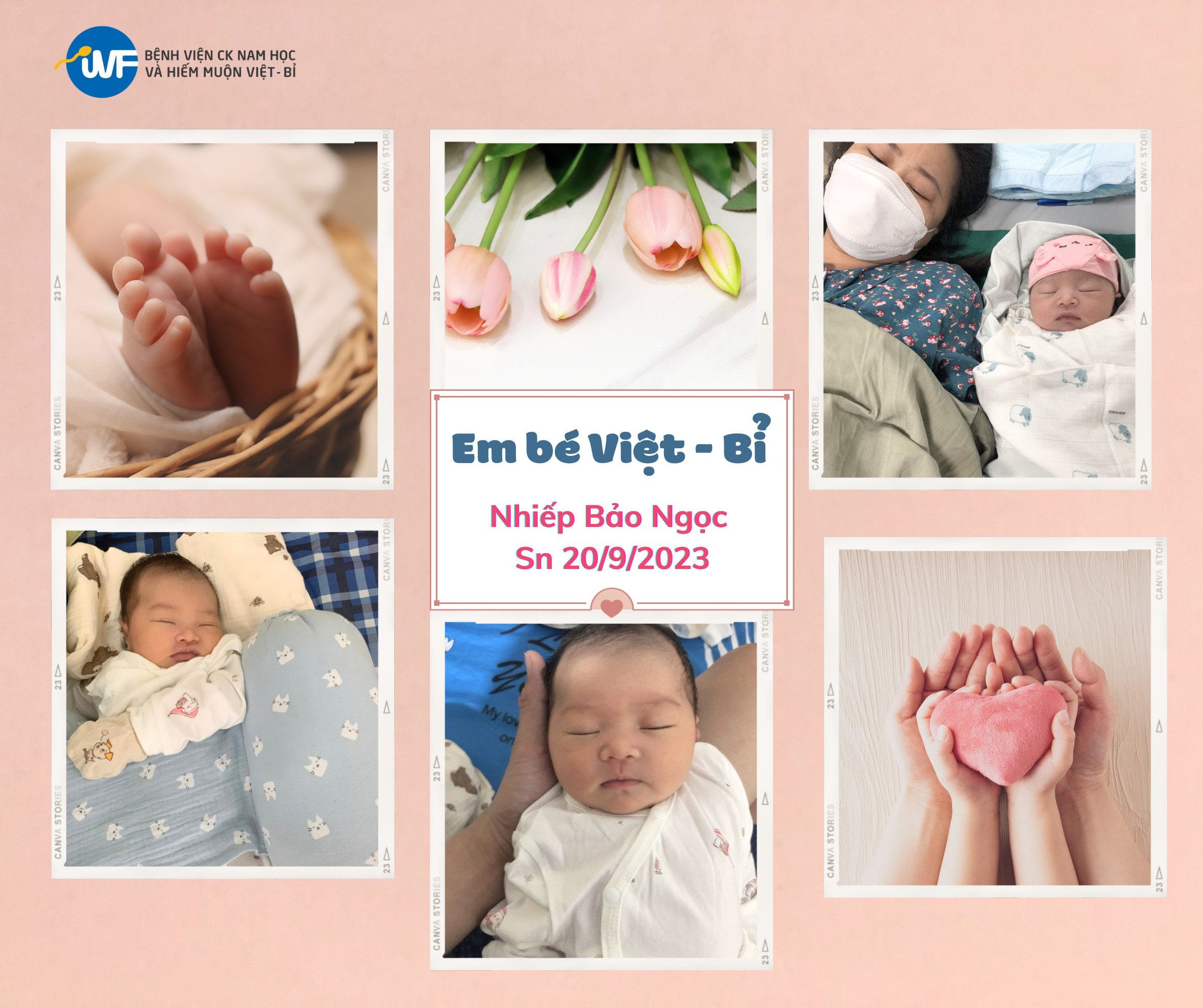HẠNH PHÚC CỦA NGƯỜI CHA 20 NĂM NGỒI XE LĂN TÌM KIẾM CON HIẾM MUỘN