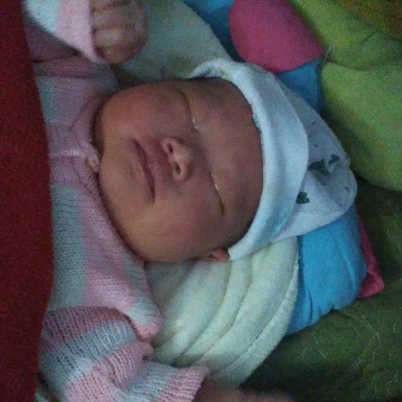CHÚC TẾT CÙNG IVF VIỆT – BỈ