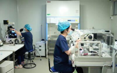 Lần đầu đi khám hiếm muộn nên đi vào ngày nào chính xác nhất?