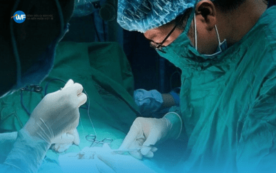 HỐI HẬN SAU TRIỆT SẢN