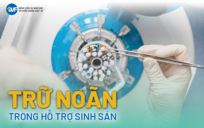 THỤ TINH NHÂN TẠO IUI: QUY TRÌNH VÀ TỶ LỆ THÀNH CÔNG