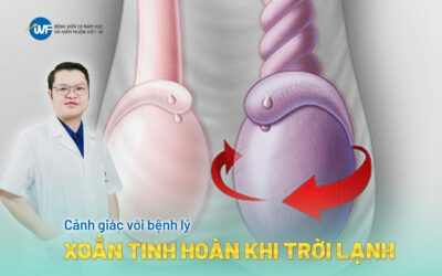 IVF VIỆT BỈ ỨNG DỤNG CÔNG NGHỆ SÀNG LỌC TINH TRÙNG NÂNG CAO TỶ LỆ THÀNH CÔNG TRONG HỖ TRỢ SINH SẢN
