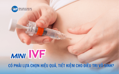 IVF VIỆT – BỈ TRIỂN KHAI KỸ THUẬT THỦY TINH HÓA MỚI GIÚP NÂNG TỶ LỆ PHÔI SỐNG SAU RÃ ĐÔNG ĐẠT 100%