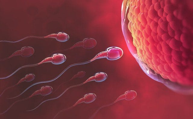 Đối tượng thụ tinh trong ống nghiệm – Bạn đã biết gì về IVF?
