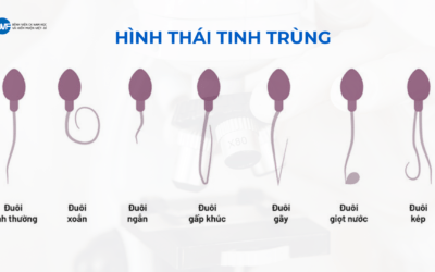 TINH TRÙNG DỊ DẠNG: NGUYÊN NHÂN, TRIỆU CHỨNG VÀ GIẢI PHÁP ĐIỀU TRỊ