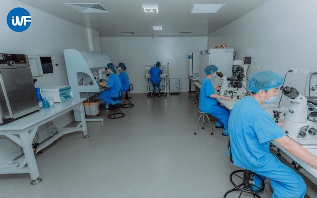 IVF Việt - Bỉ: Nơi chắp cánh hy vọng cho các cặp vợ chồng hiếm muộn- Ảnh 2.